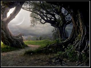 همميشه ماندن دليل بر عاشق  بودن نيست